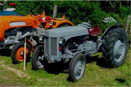 ferguson.jpg (20754 Byte)