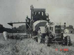 mandreschkasten1.jpg (9060 Byte)